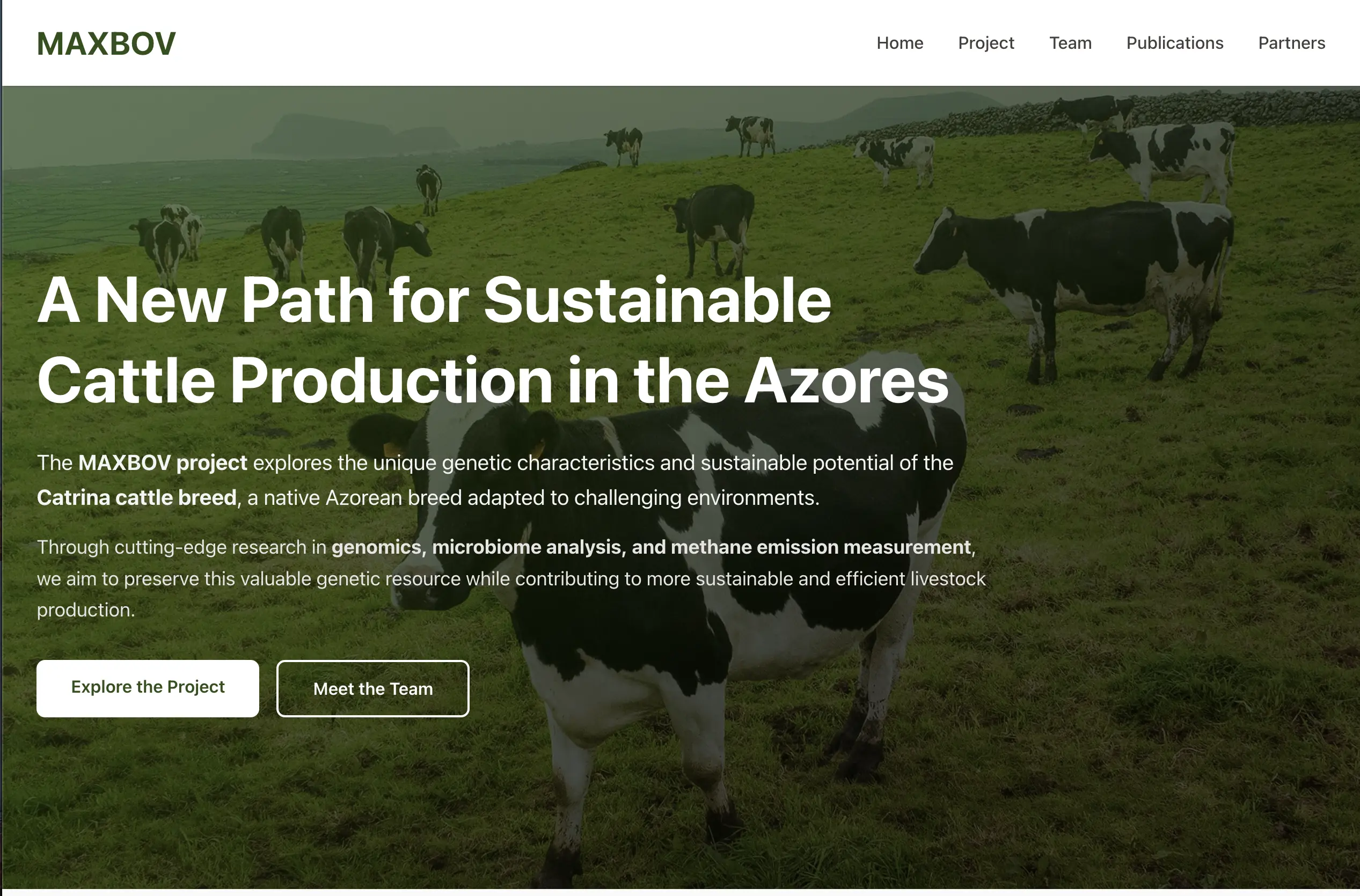 Maxbov - Universidade dos Açores